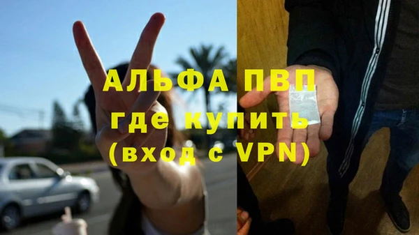 прущий лед Вяземский