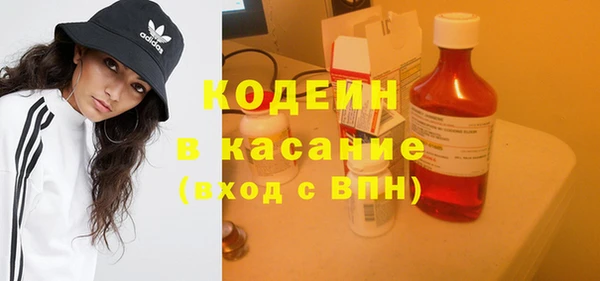прущий лед Вяземский