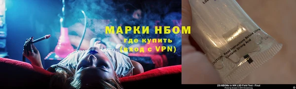 прущий лед Вяземский