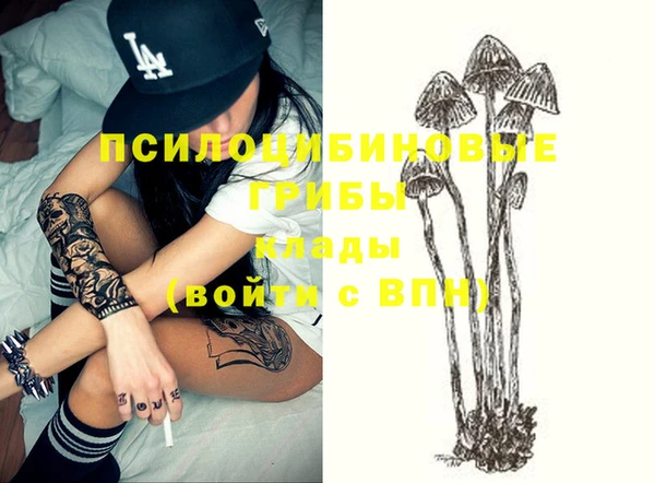 прущий лед Вяземский