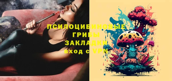 прущий лед Вяземский