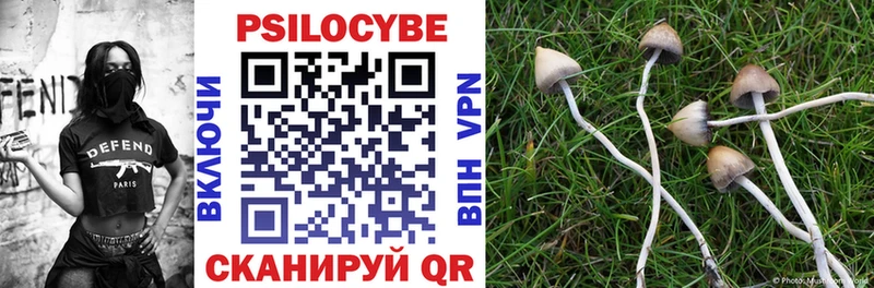 Галлюциногенные грибы Cubensis  Купить закладки  Ковдор 